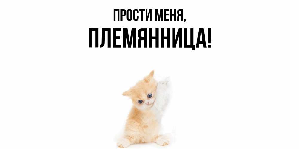 Открытка  для любимых и родных. Племянница, Прости меня  