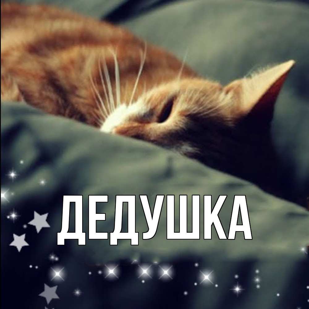 Открытка  для любимых и родных. Дедушка, Главная  