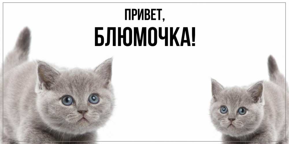 Открытка  для любимых и родных. блюмочка, Привет  