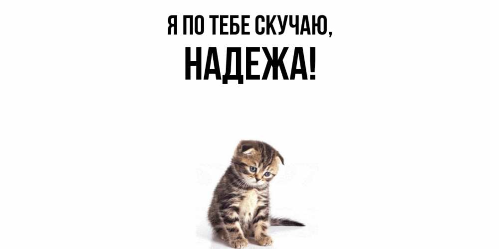 Открытка  для любимых и родных. надежа, Я по тебе скучаю  
