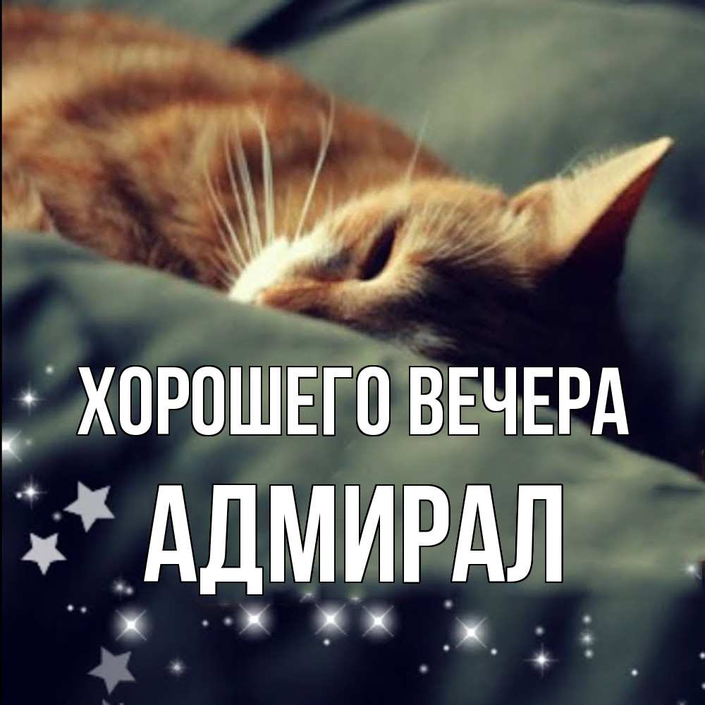 Открытка  для любимых и родных. адмирал, Хорошего вечера  