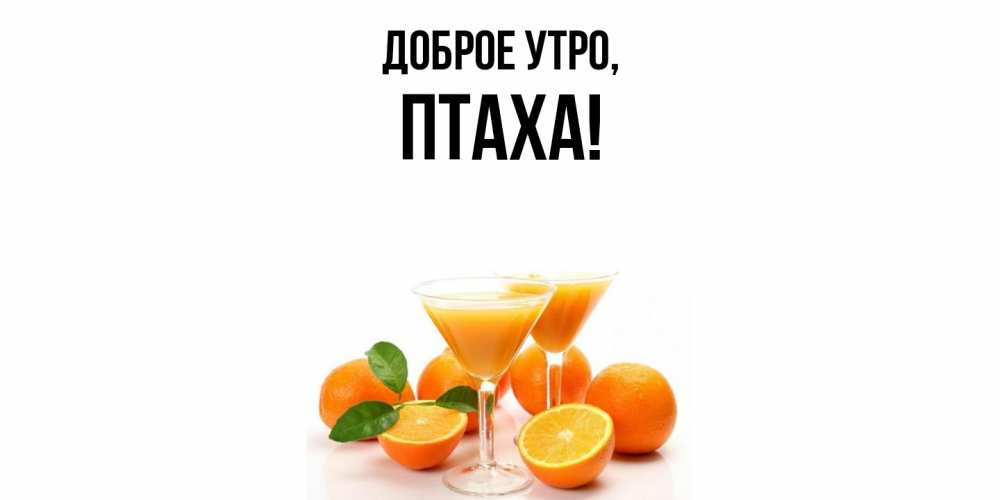 Открытка  для любимых и родных. птаха, Доброе утро  