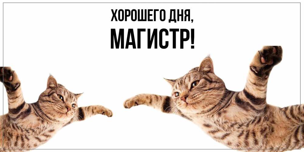 Открытка  для любимых и родных. магистр, Хорошего дня  