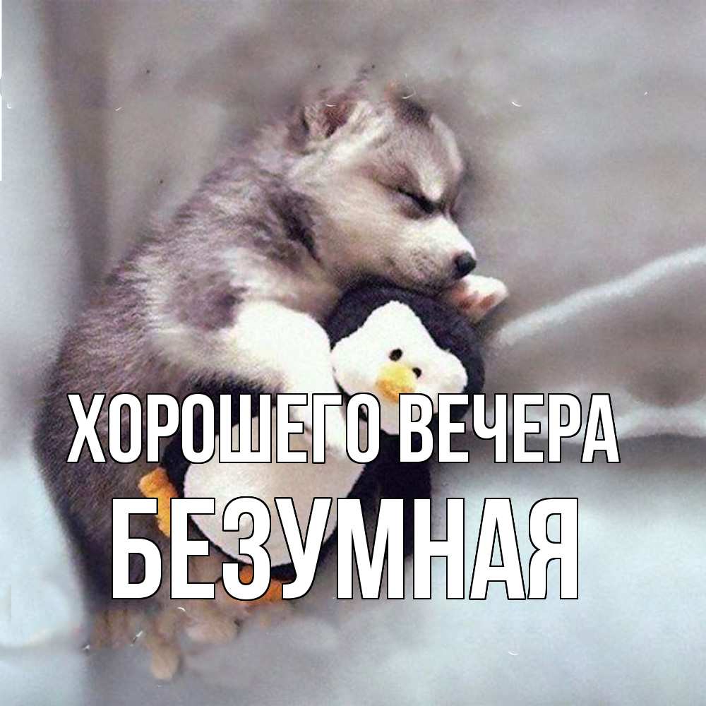 Картинка Хорошего вечера, безумная