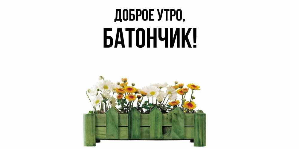 Открытка  для любимых и родных. батончик, Доброе утро  