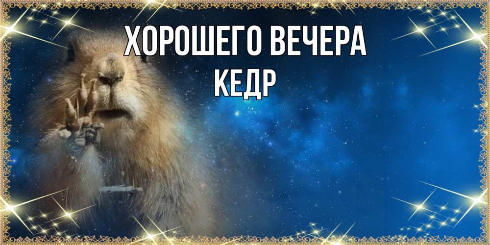 Картинка Хорошего вечера, кедр