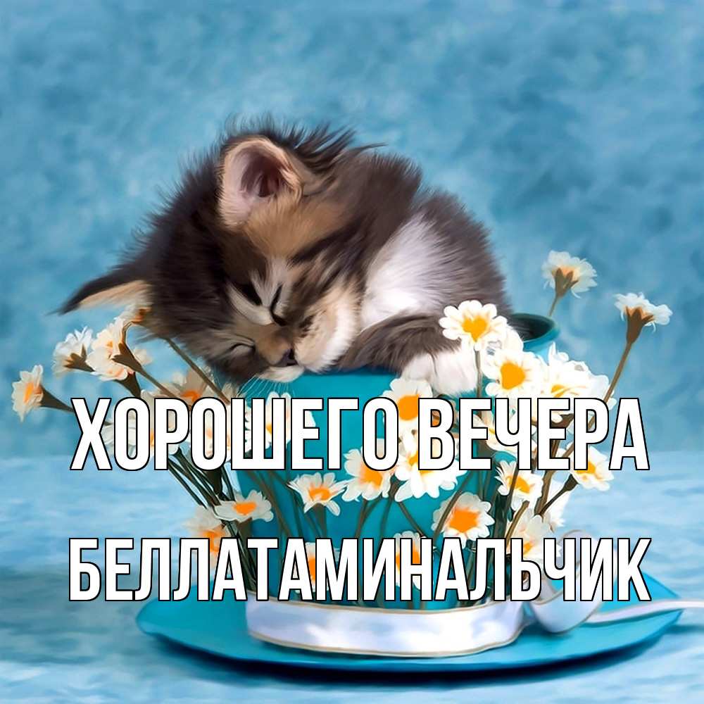 Картинка Хорошего вечера, беллатаминальчик