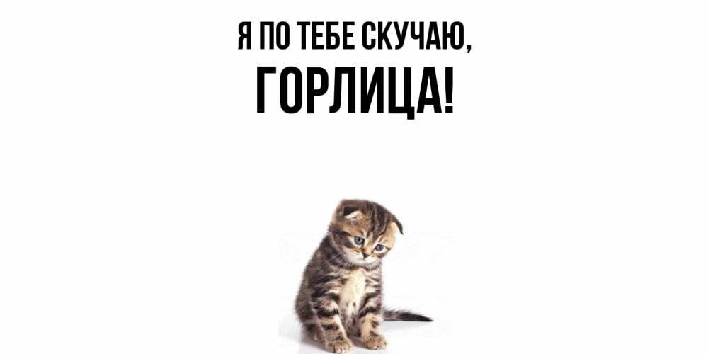 Открытка  для любимых и родных. горлица, Я по тебе скучаю  