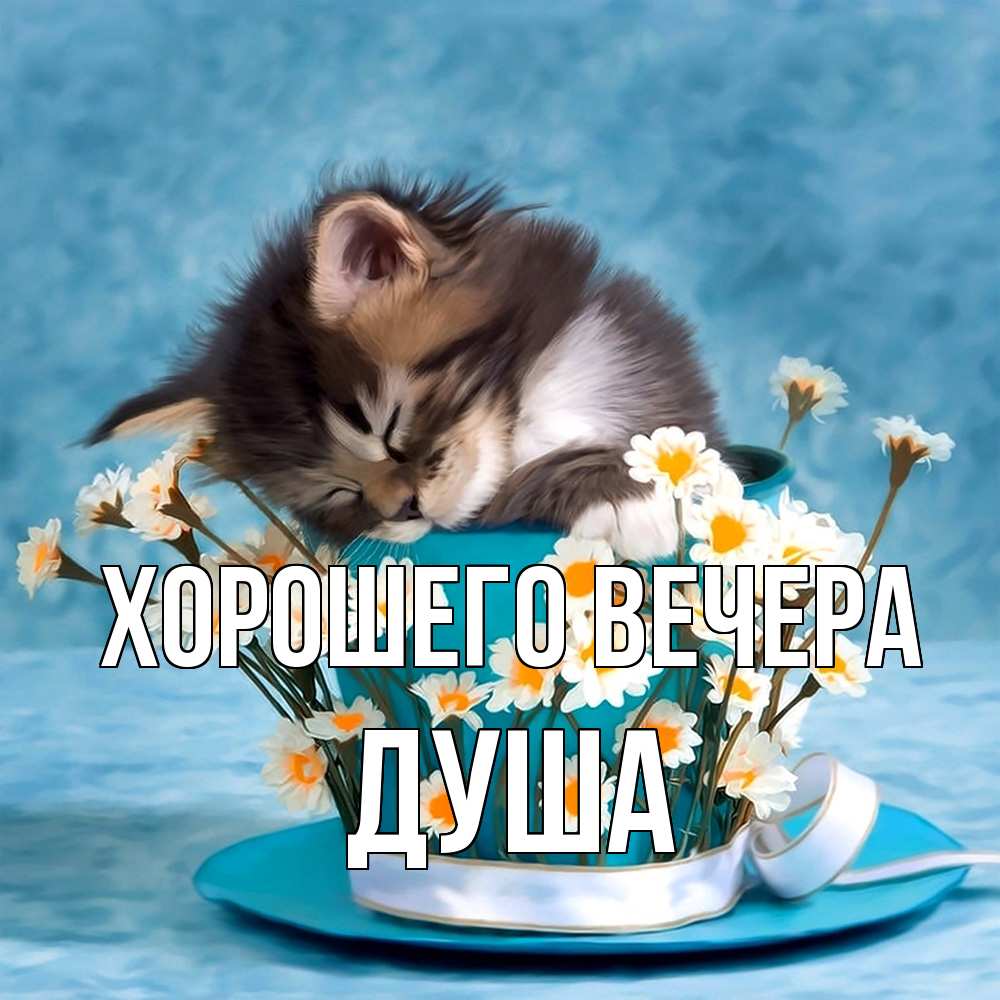 Картинка Хорошего вечера, душа