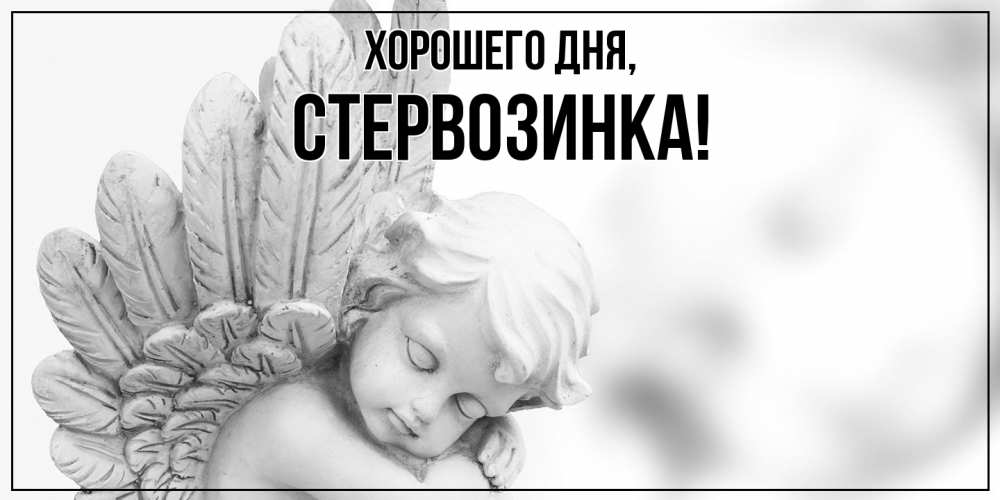 Открытка  для любимых и родных. стервозинка, Хорошего дня  