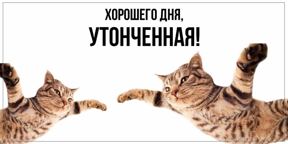 Открытка  для любимых и родных. утонченная, Хорошего дня  