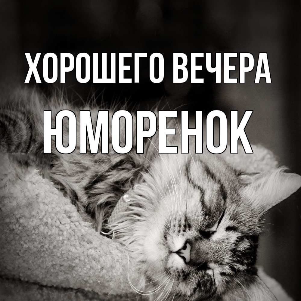Картинка Хорошего вечера, юмоpенок