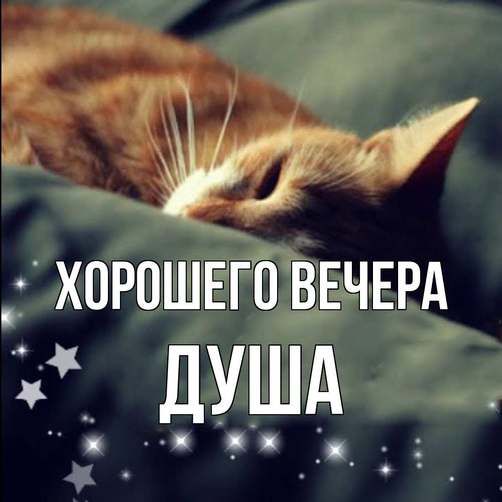 Картинка Хорошего вечера, душа