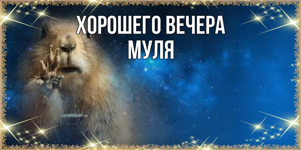 Картинка Хорошего вечера, муля