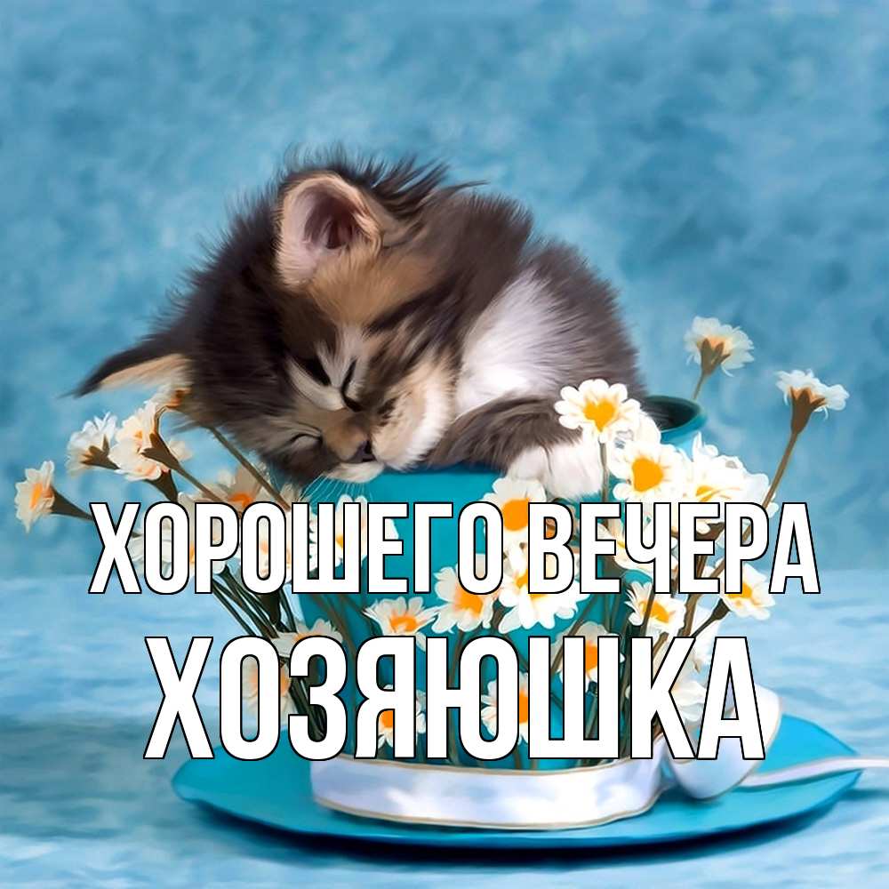 Открытка с именем, хозяюшка, Хорошего вечера