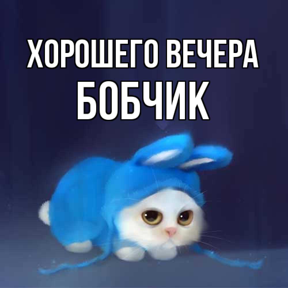 Открытка  для любимых и родных. бобчик, Хорошего вечера  