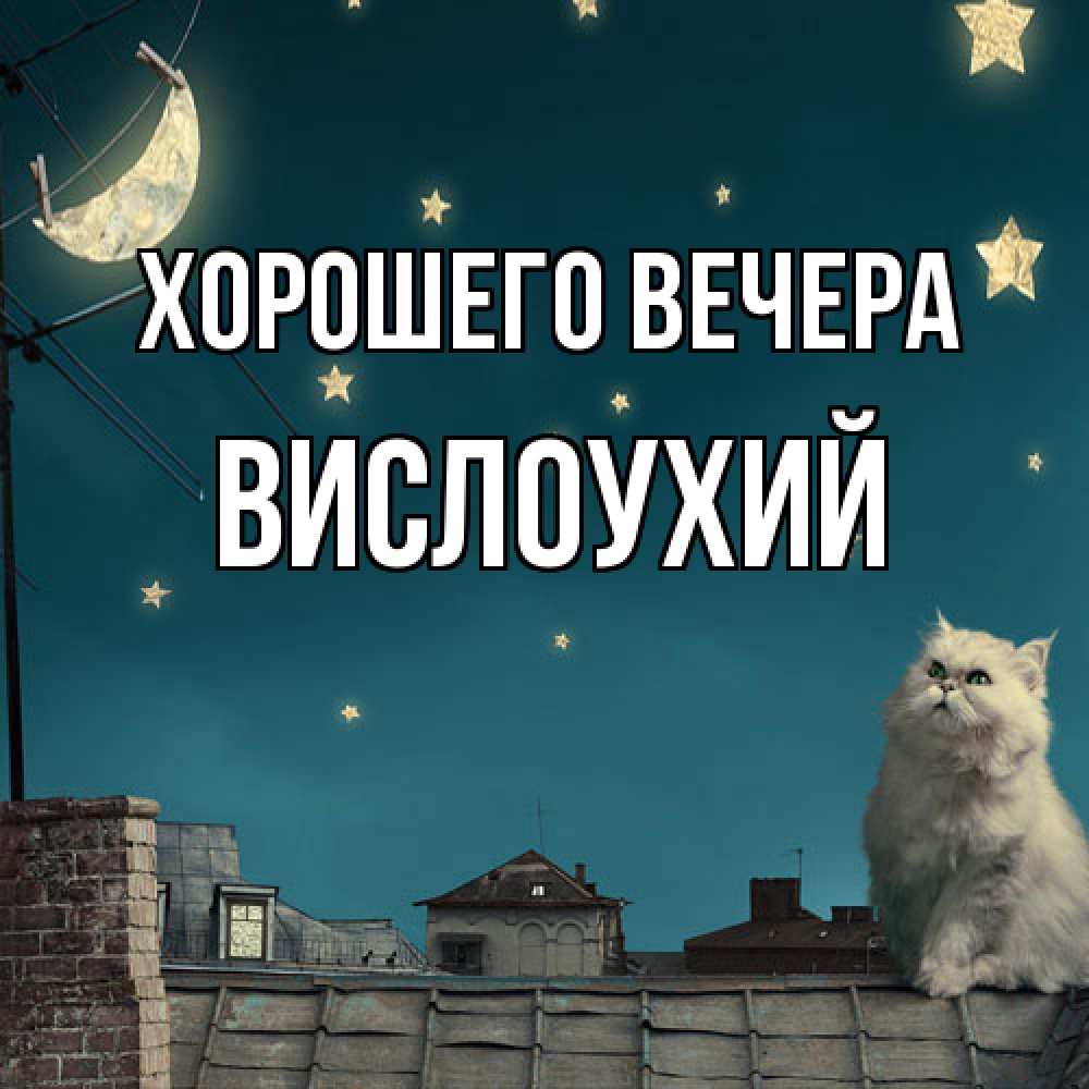 Открытка  для любимых и родных. вислоухий, Хорошего вечера  