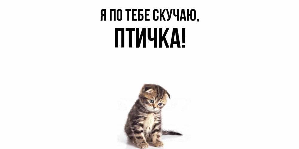Открытка с именем, птичка, Я по тебе скучаю