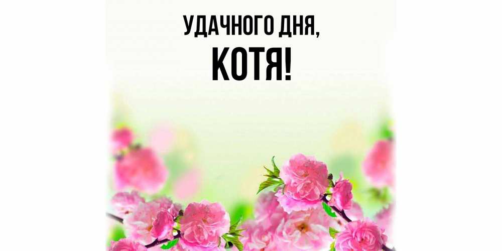 Открытка с именем, котя, Удачного дня