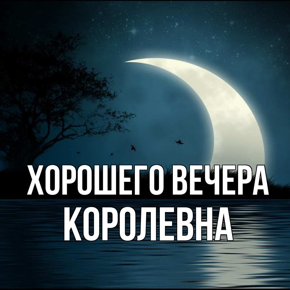 Открытка  для любимых и родных. королевна, Хорошего вечера  