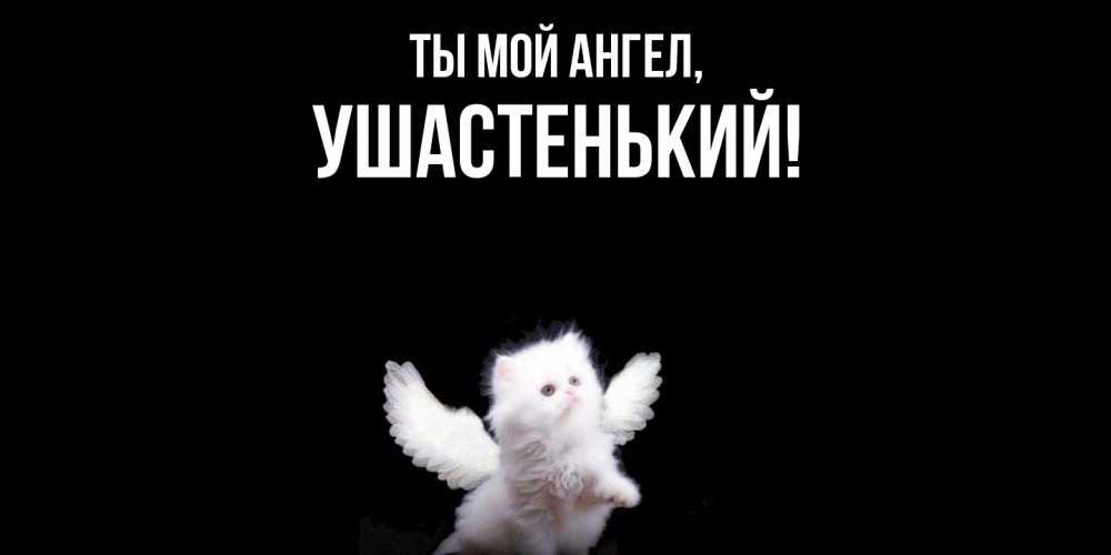 Открытка  для любимых и родных. ушастенький, Ты мой ангел  