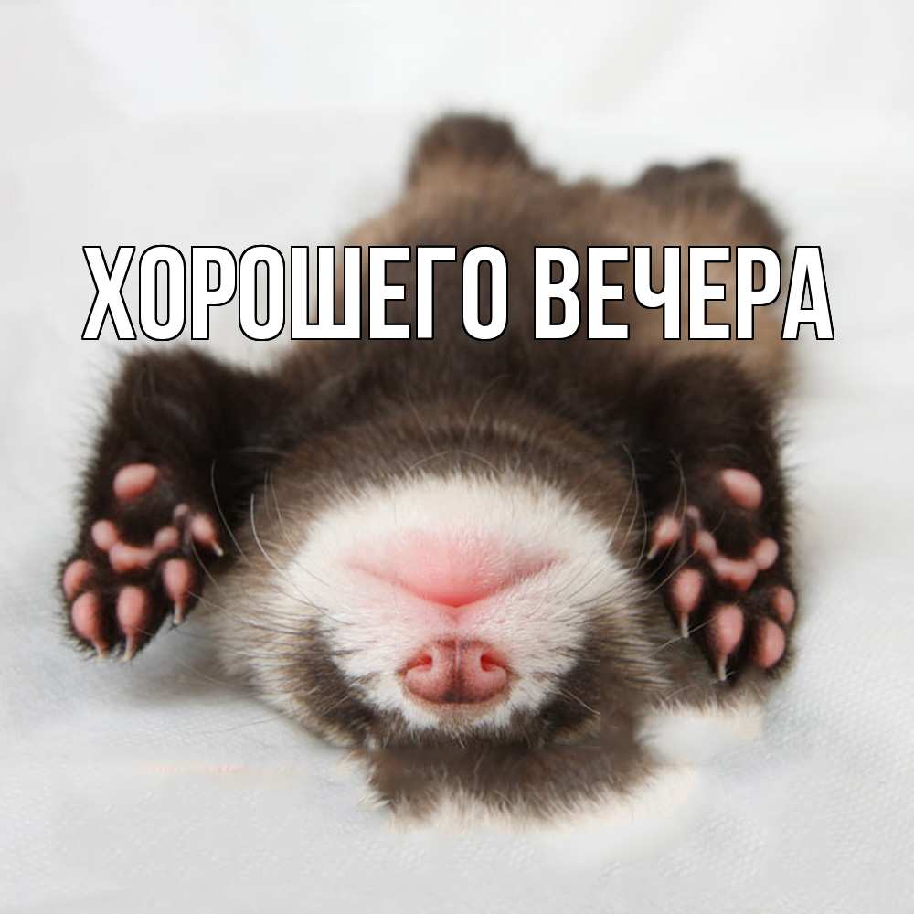 Открытка  для любимых и родных. выберите-описание, Хорошего вечера  