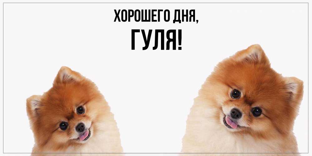 Картинка Хорошего дня, гуля