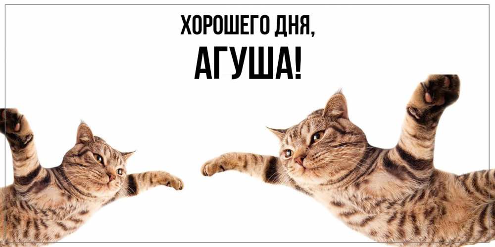 Открытка  для любимых и родных. агуша, Хорошего дня  