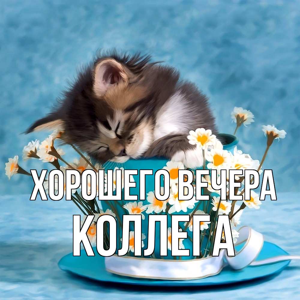 Картинка Хорошего вечера, Коллега