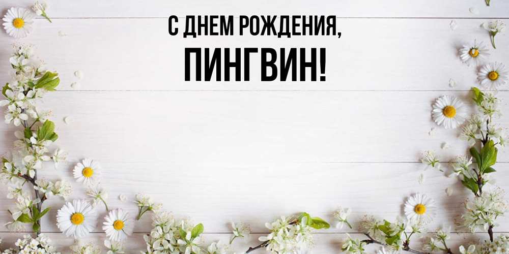 Открытка с именем, пингвин, С днем рождения