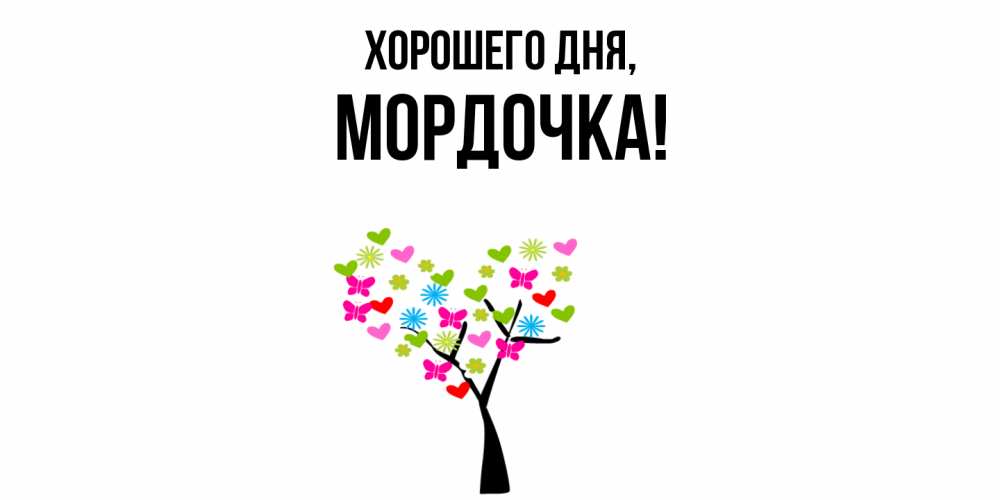 Открытка  для любимых и родных. мордочка, Хорошего дня  