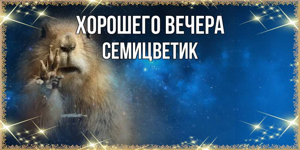 Открытка  для любимых и родных. семицветик, Хорошего вечера  