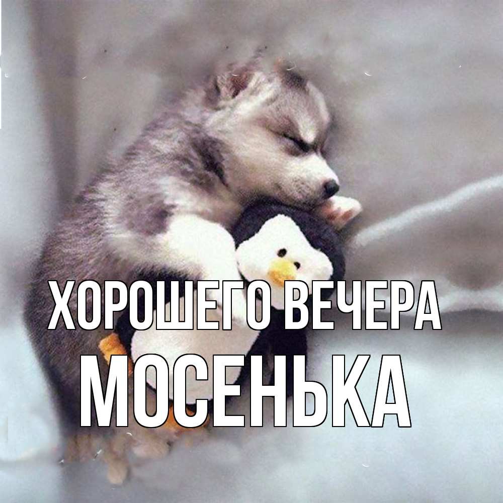 Картинка Хорошего вечера, мосенька