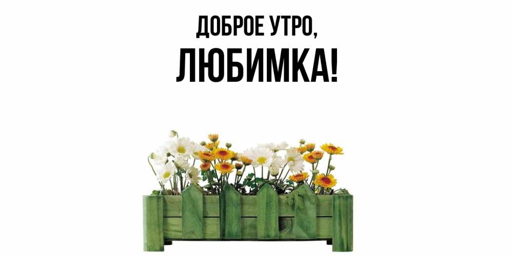 Открытка с именем, любимка, Доброе утро