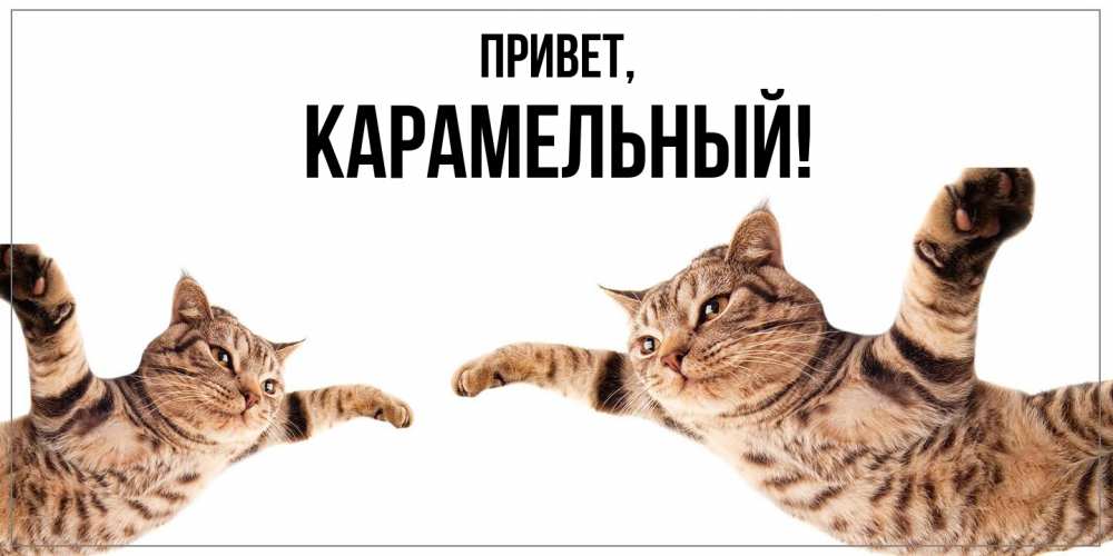 Открытка  для любимых и родных. карамельный, Привет  