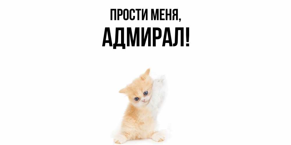 Картинка Прости меня, адмирал
