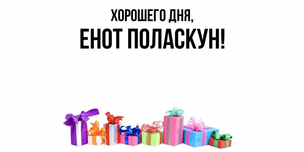 Открытка  для любимых и родных. енот, Хорошего дня  