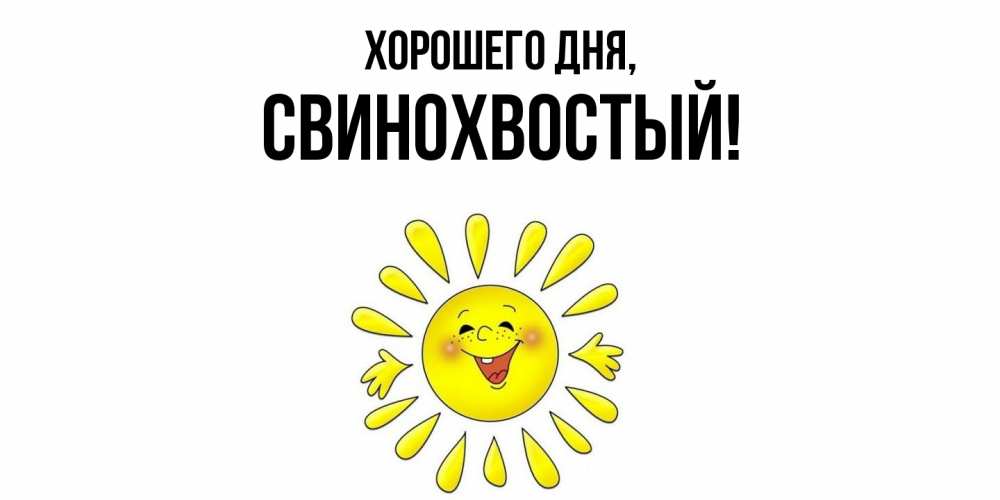 Открытка  для любимых и родных. свинохвостый, Хорошего дня  