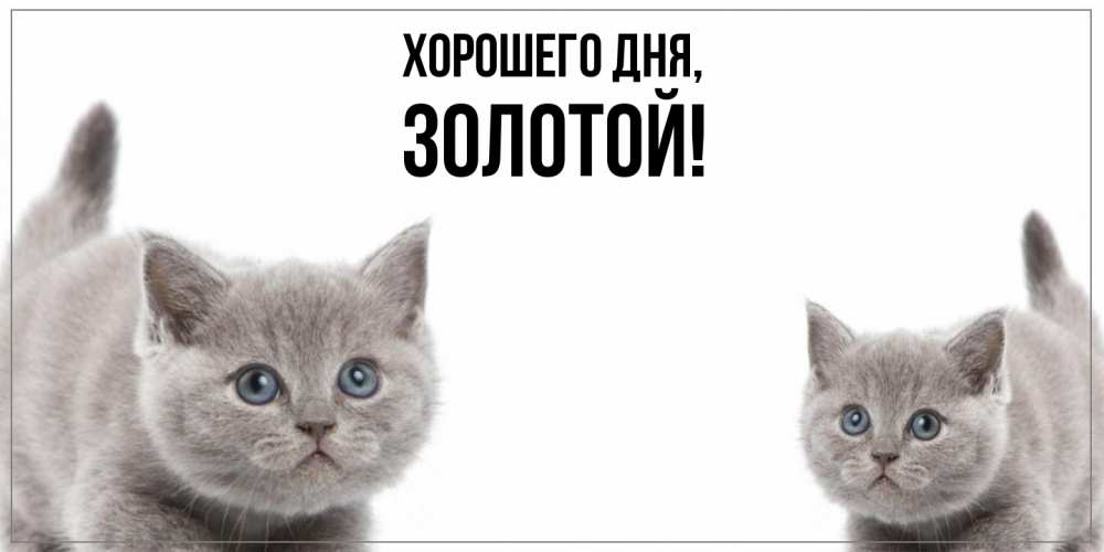 Открытка с именем, золотой, Хорошего дня