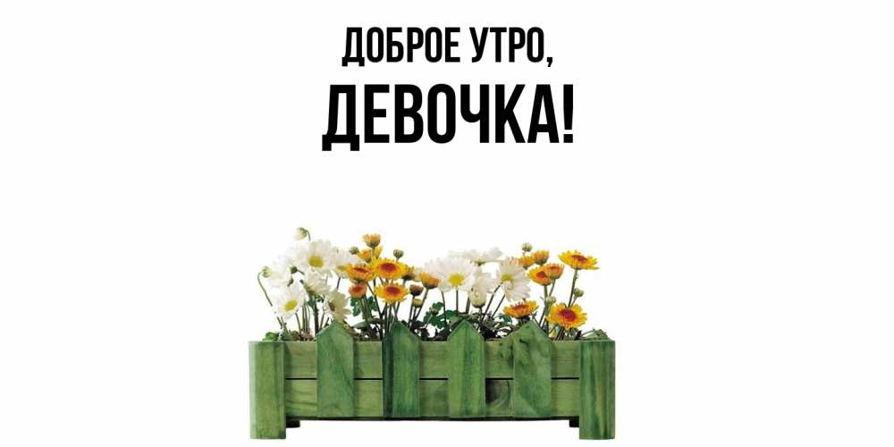 Открытка  для любимых и родных. девочка, Доброе утро  