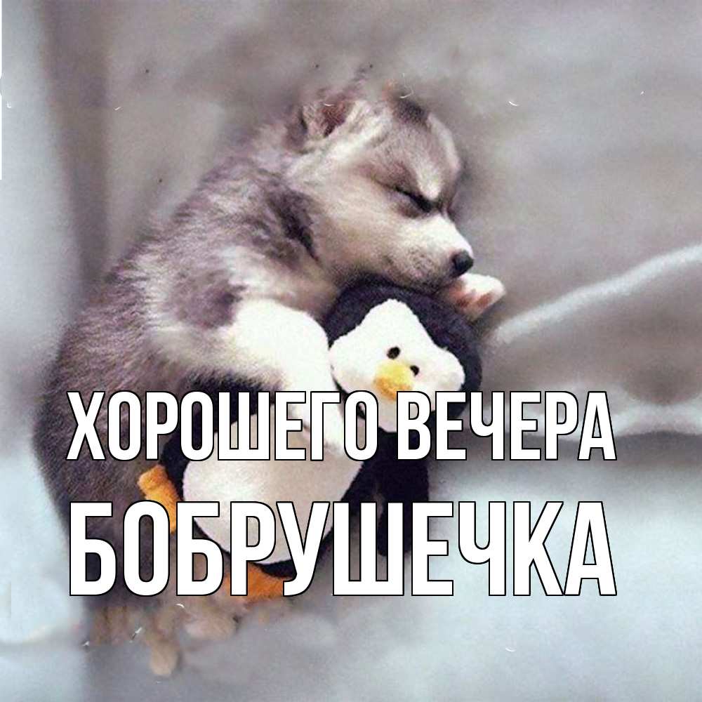 Открытка  для любимых и родных. бобрушечка, Хорошего вечера  