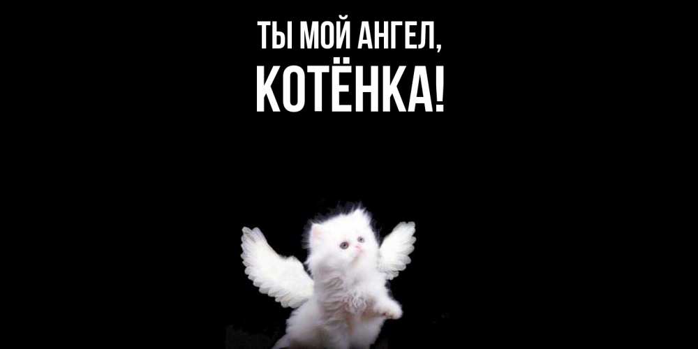 Открытка  для любимых и родных. котёнка, Ты мой ангел  