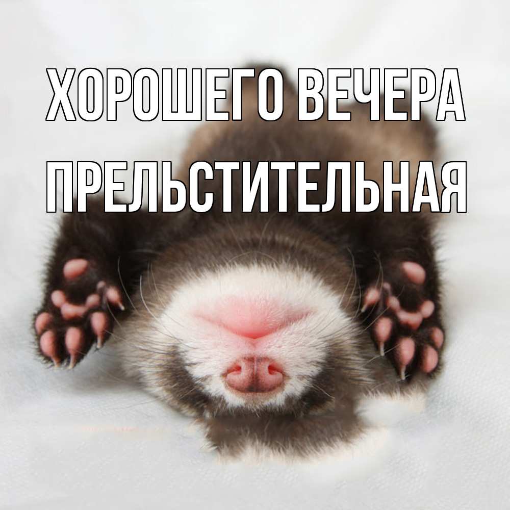 Открытка  для любимых и родных. пpельстительная, Хорошего вечера  