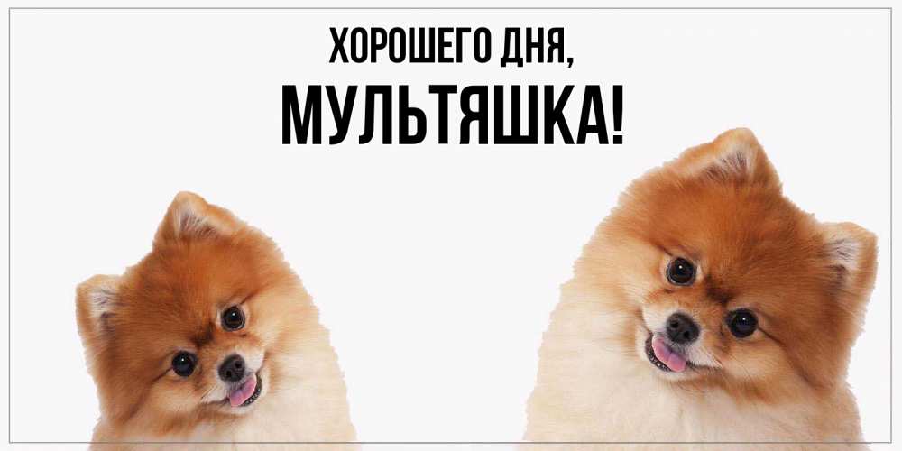 Открытка  для любимых и родных. мультяшка, Хорошего дня  