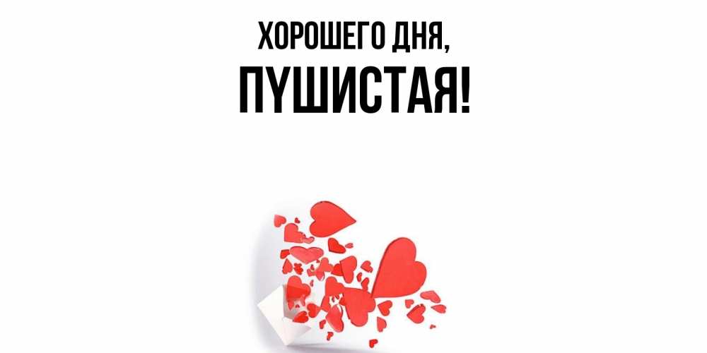 Открытка  для любимых и родных. пyшистая, Хорошего дня  