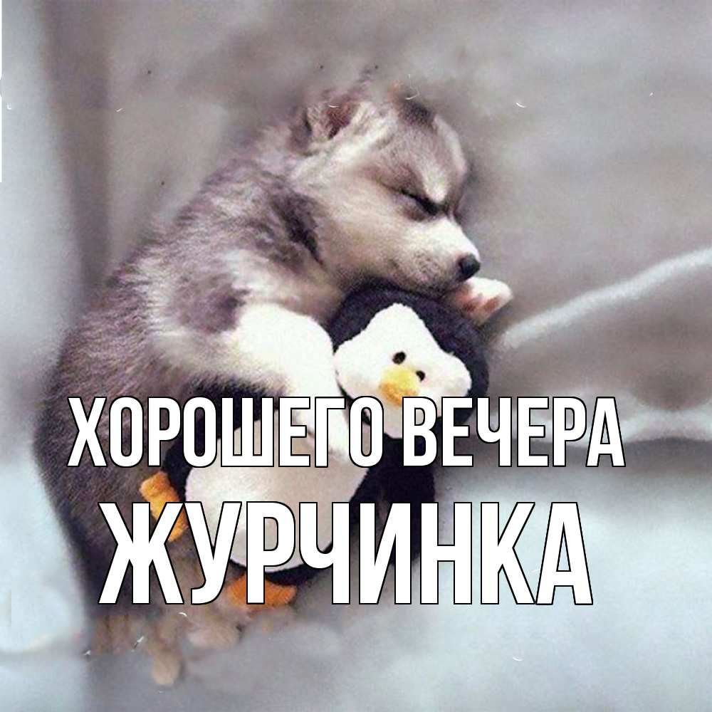 Открытка  для любимых и родных. журчинка, Хорошего вечера  