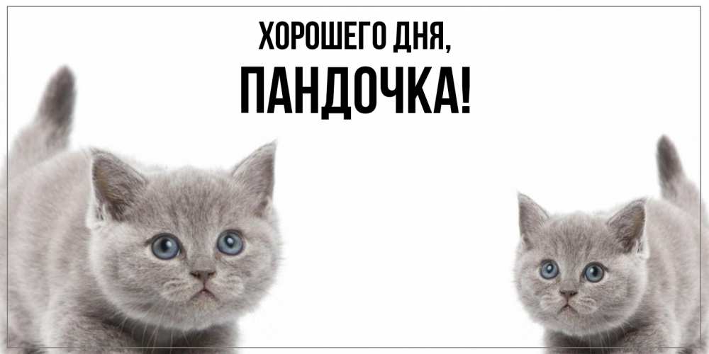 Открытка  для любимых и родных. пандочка, Хорошего дня  