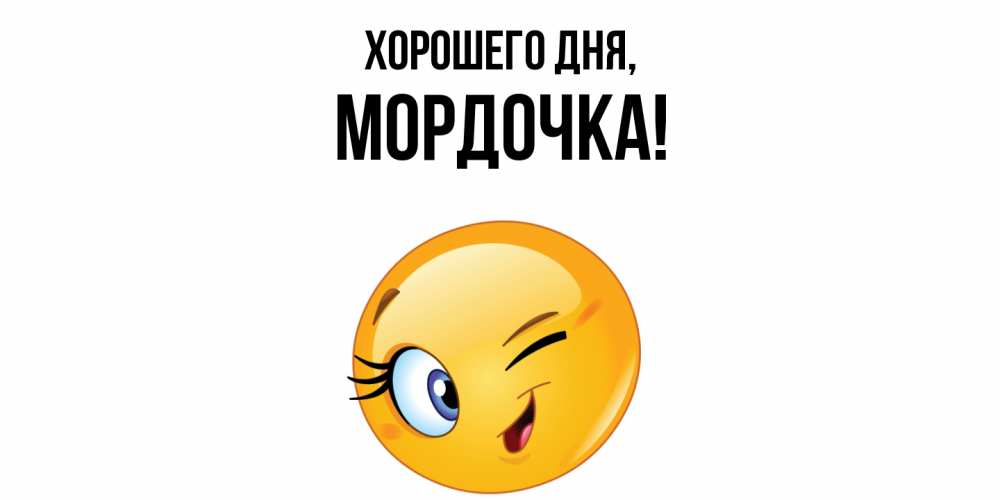 Открытка  для любимых и родных. мордочка, Хорошего дня  