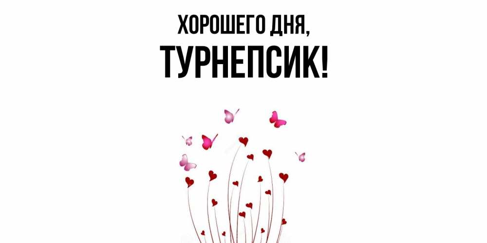 Открытка  для любимых и родных. турнепсик, Хорошего дня  