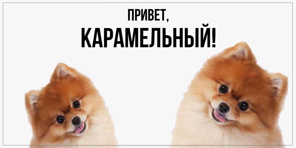 Открытка  для любимых и родных. карамельный, Привет  